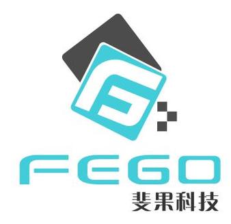 斐果科技 驅動數字化未來的存儲解決方案專家